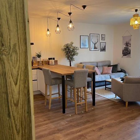 Appartement Tout Confort Haut De Gamme En Plein Centre Ville Жерарме Экстерьер фото