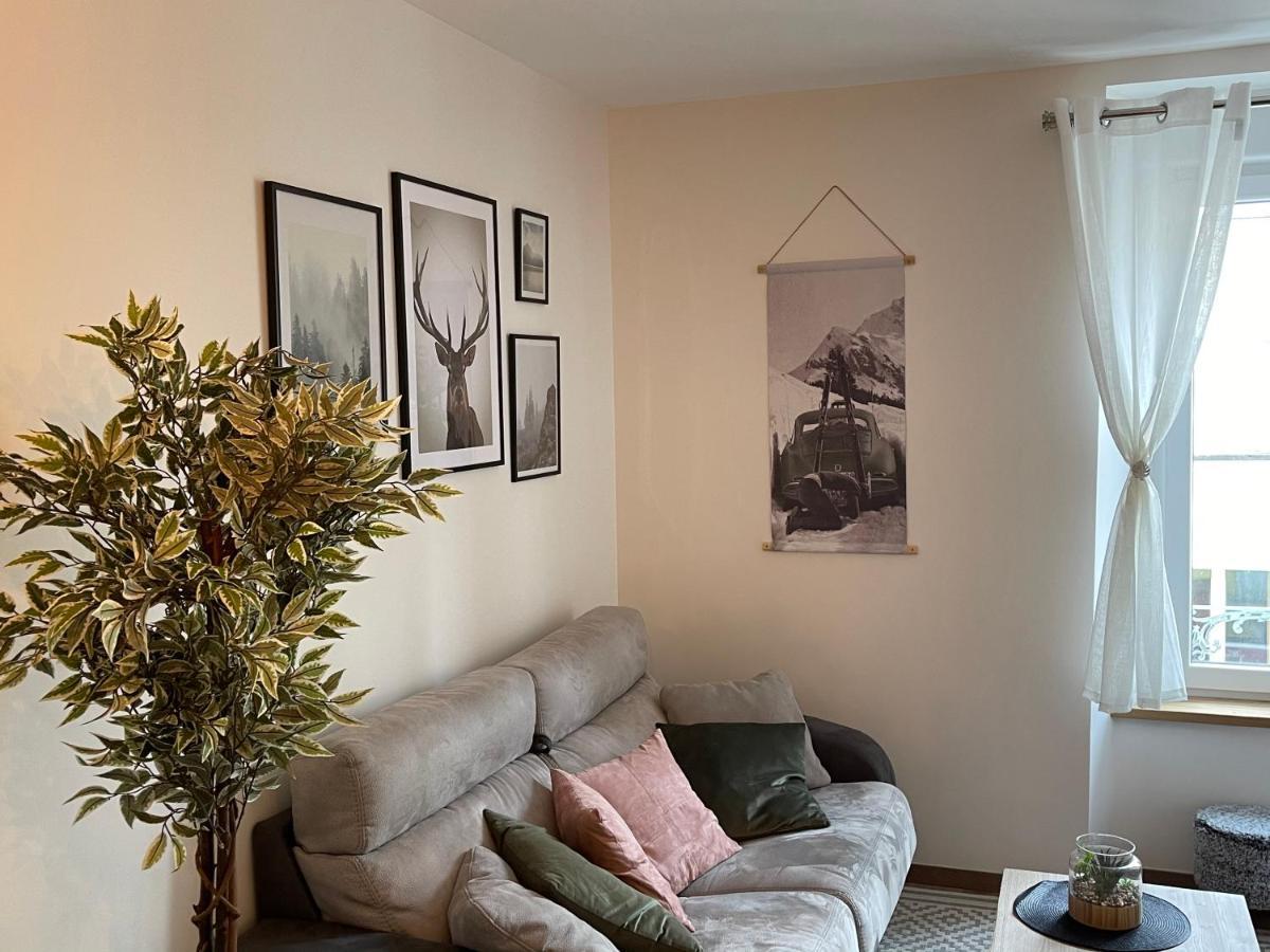 Appartement Tout Confort Haut De Gamme En Plein Centre Ville Жерарме Экстерьер фото