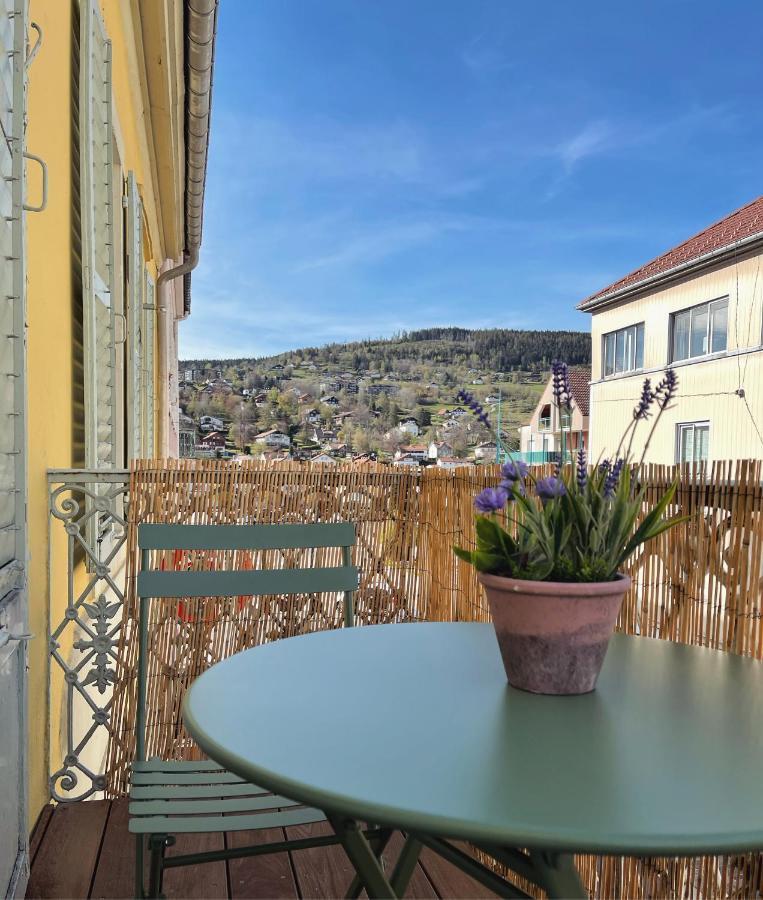 Appartement Tout Confort Haut De Gamme En Plein Centre Ville Жерарме Экстерьер фото